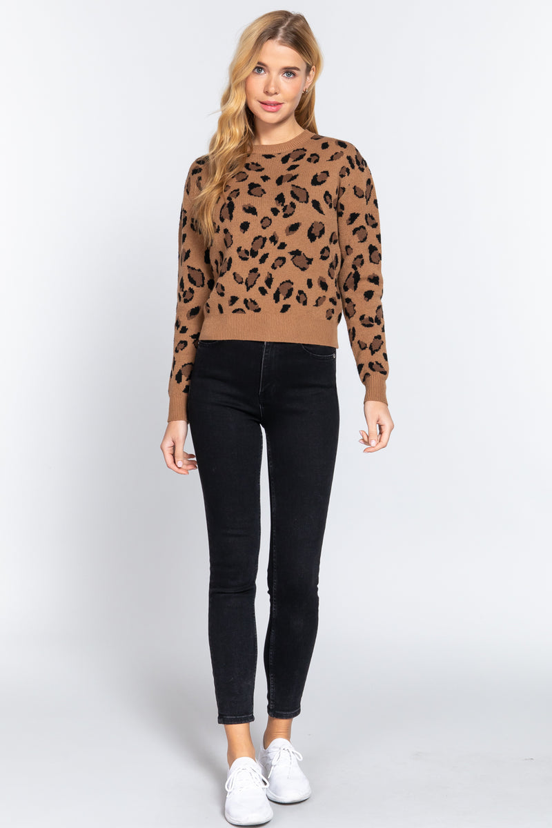 Long Slv Print Jacquard Sweater